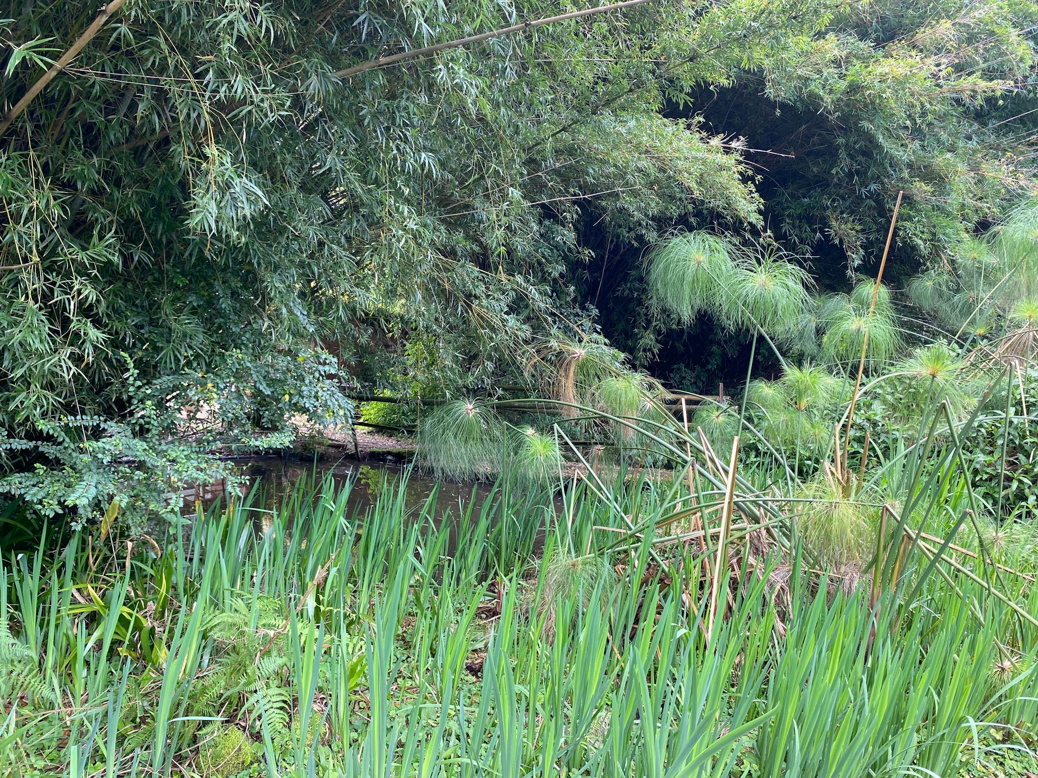 leads to potting area
