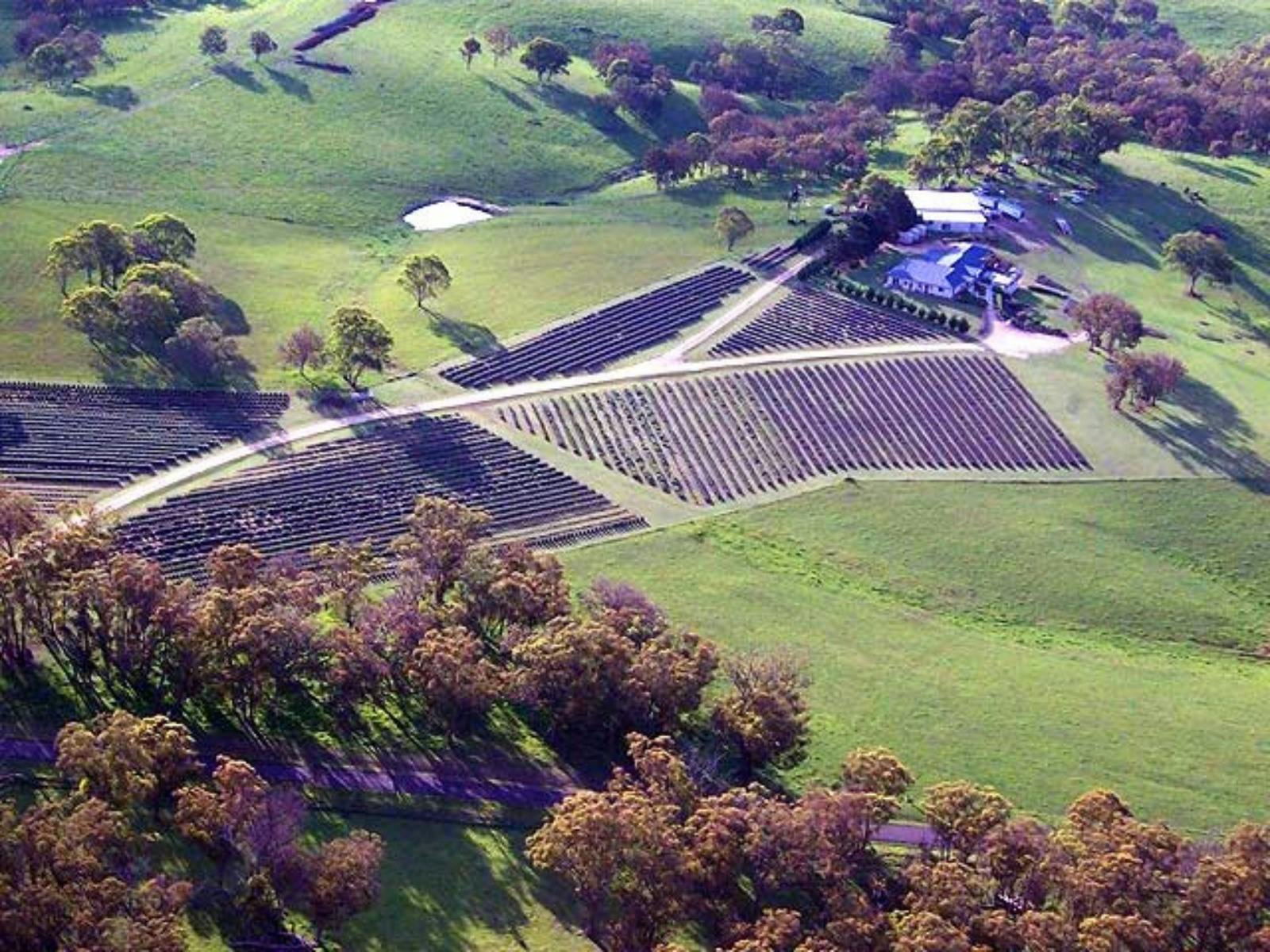 Aerial view of Aloomba Lavender