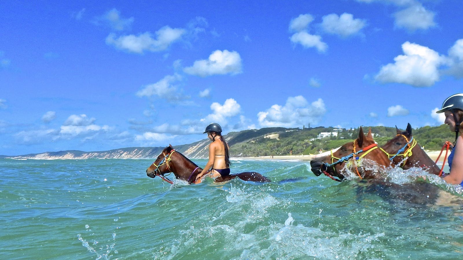 Rainbow Beach Horse Rides