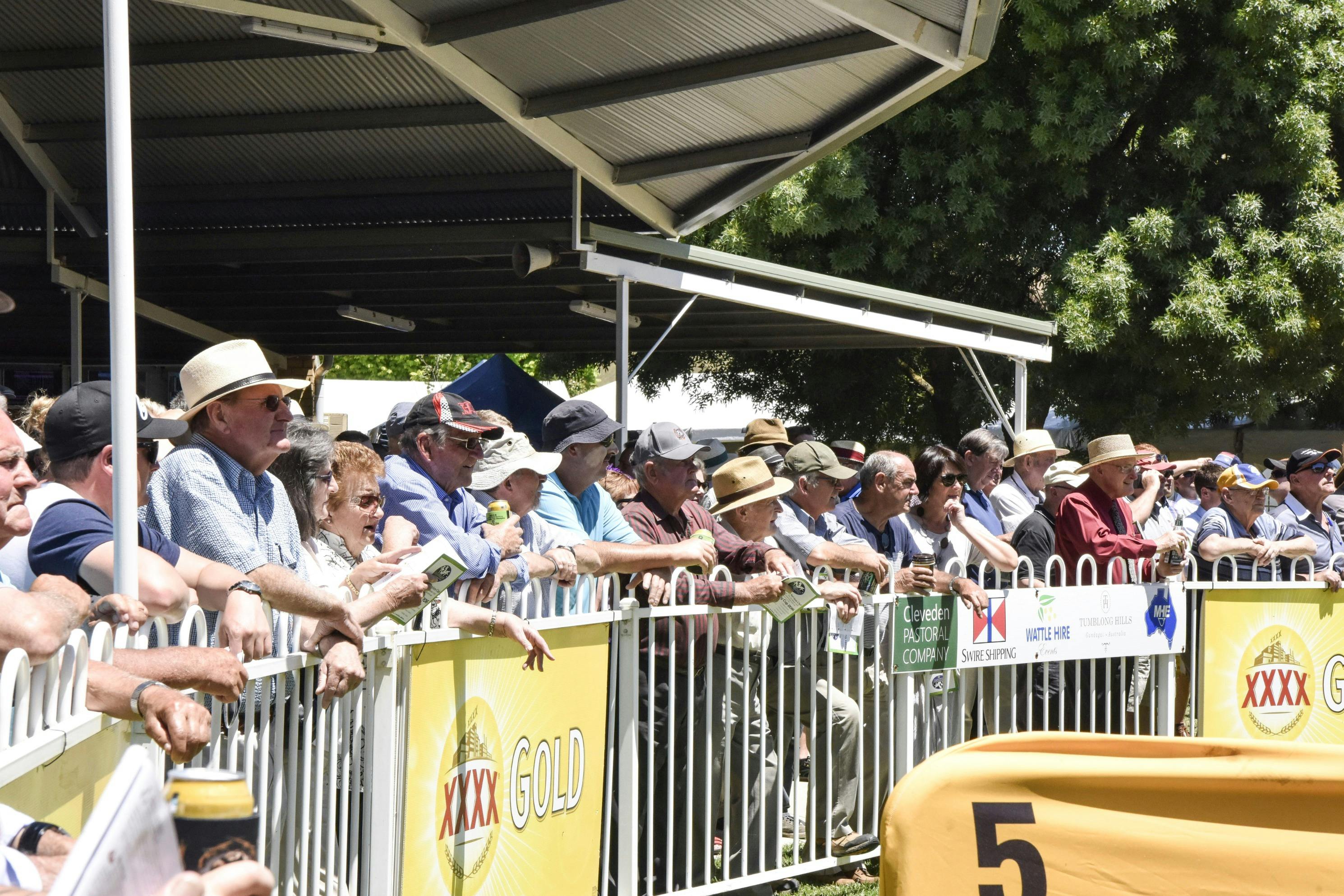 Crowds