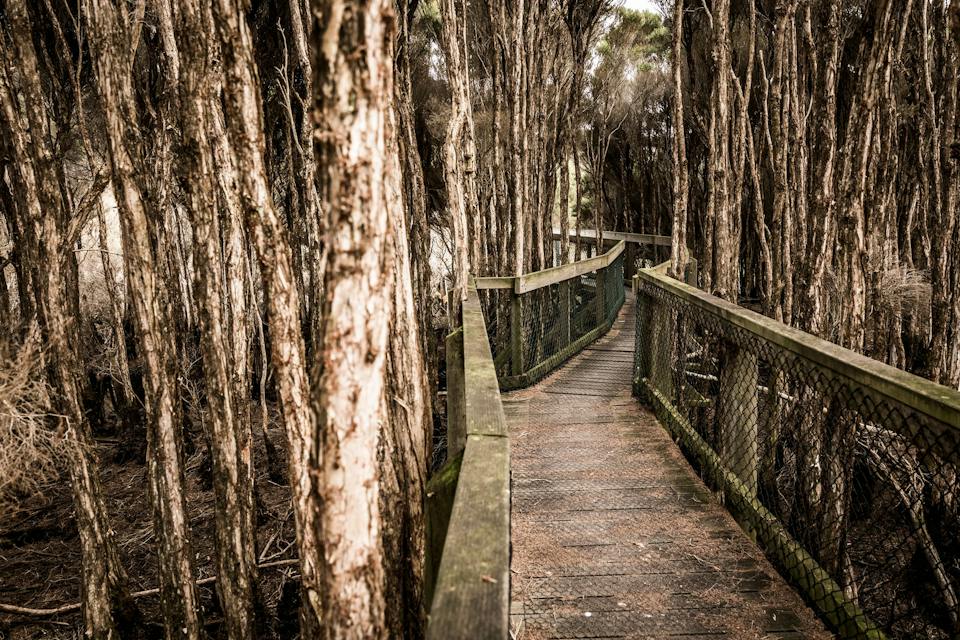 Narawntapu National Park photo