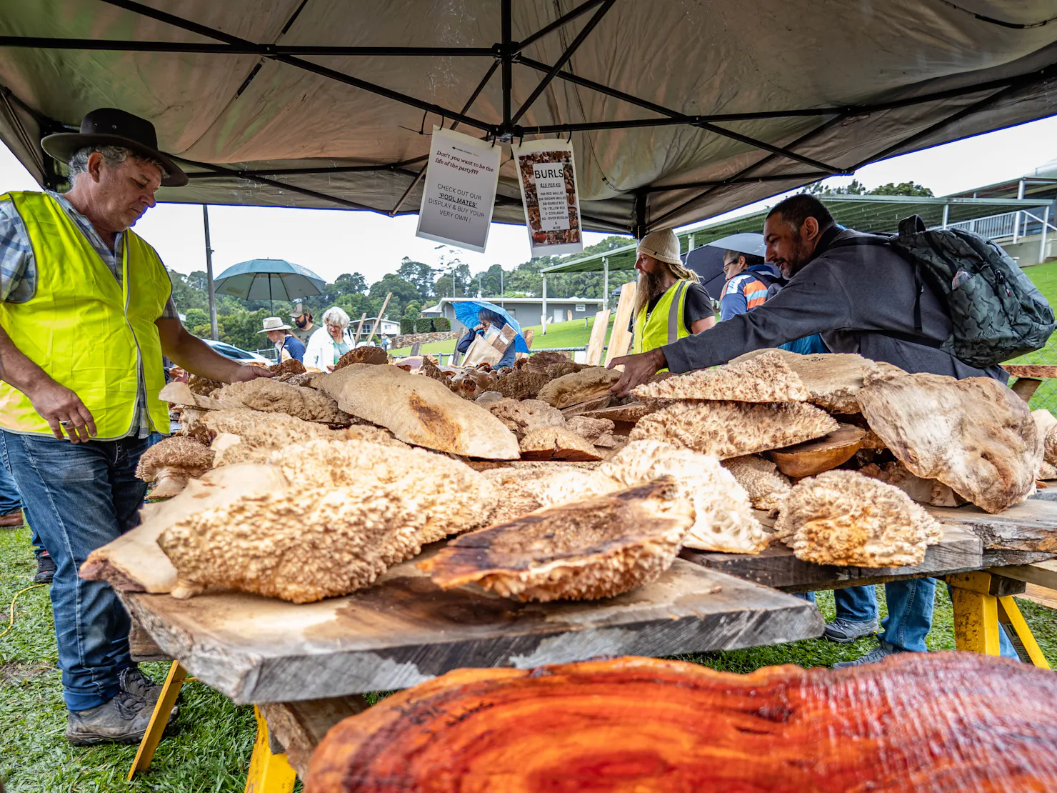 The Maleny wood Expo prides itself on the quality and quntity of tmber available to inspect & buy