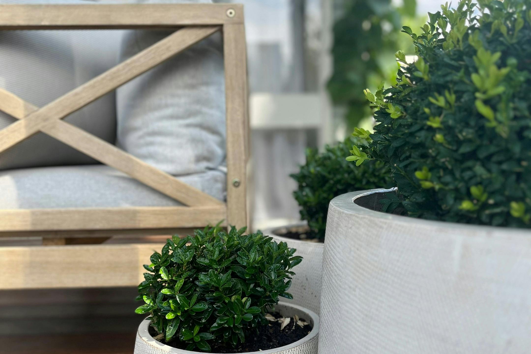 The Tradesmans Cottage one - exterior