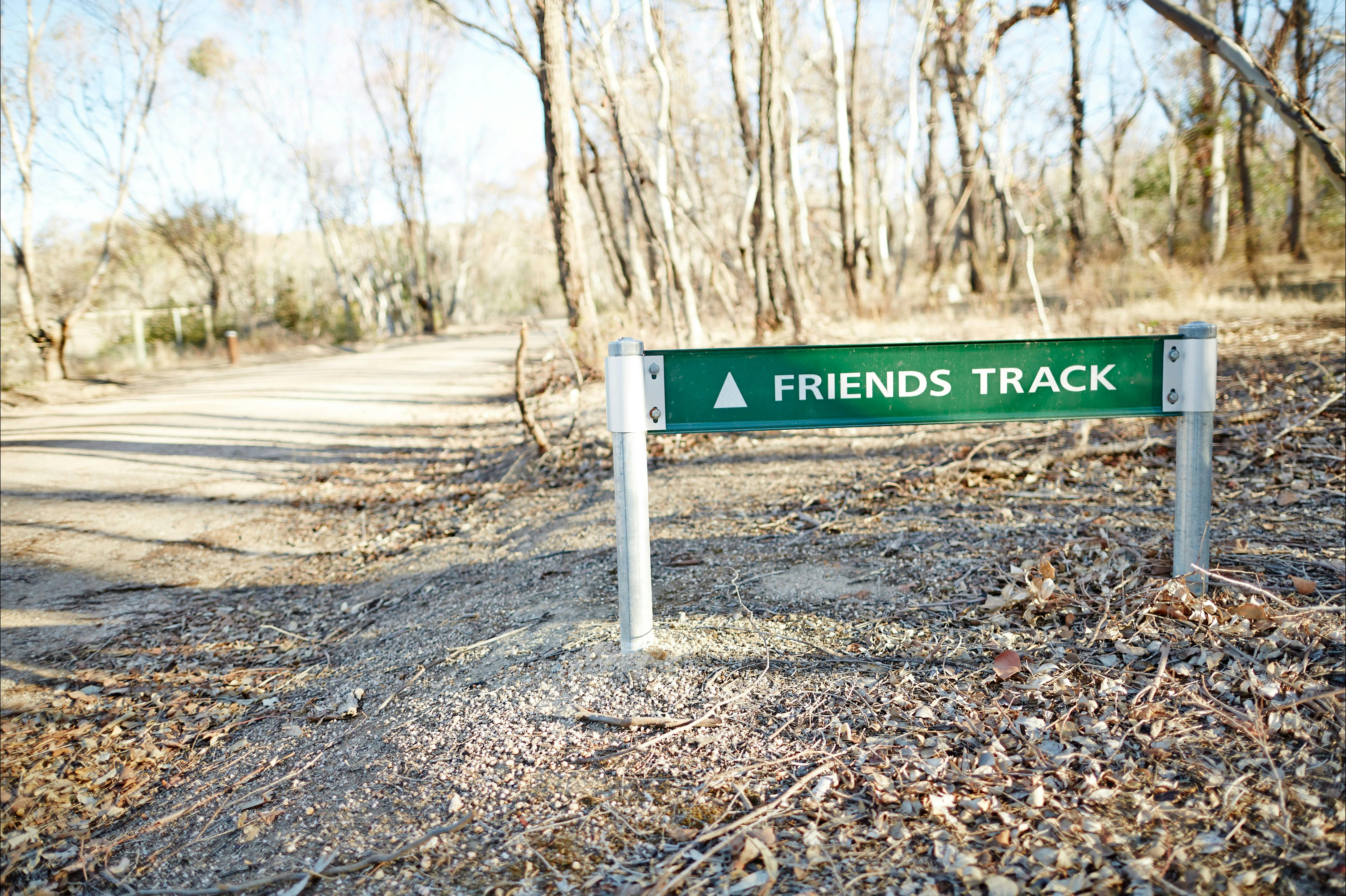 Green directional sign to Friends Track, dirt road, dried leaves, gum trees in background