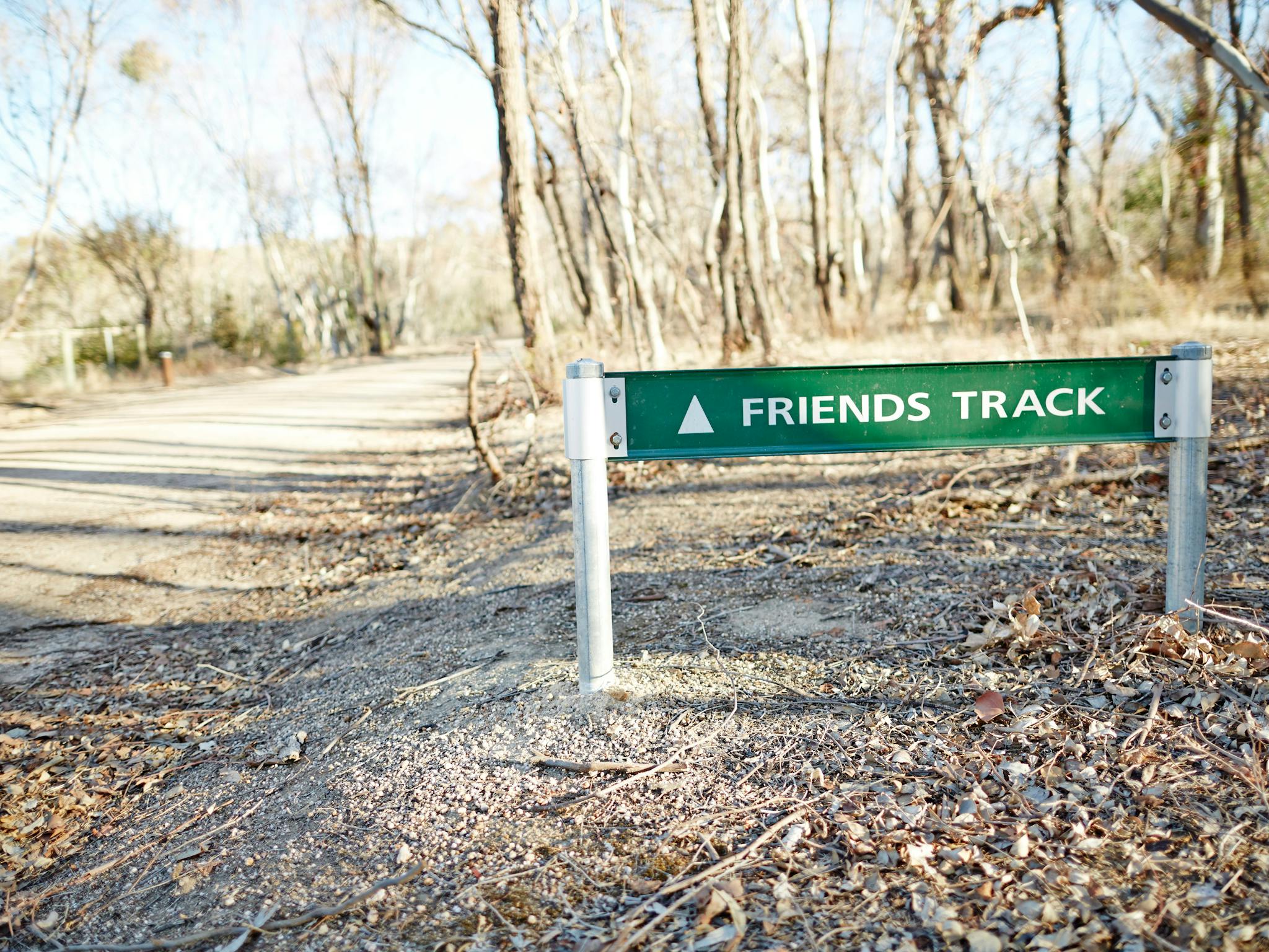 Green directional sign to Friends Track, dirt road, dried leaves, gum trees in background