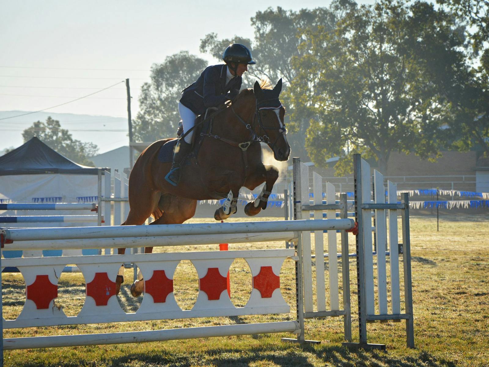 Image for Gunnedah Showjumping Festival