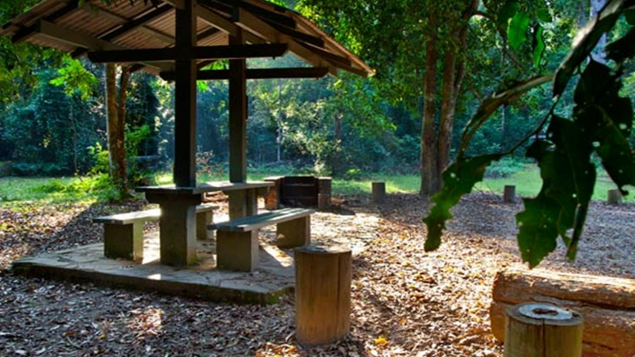 Cedar Park picnic area