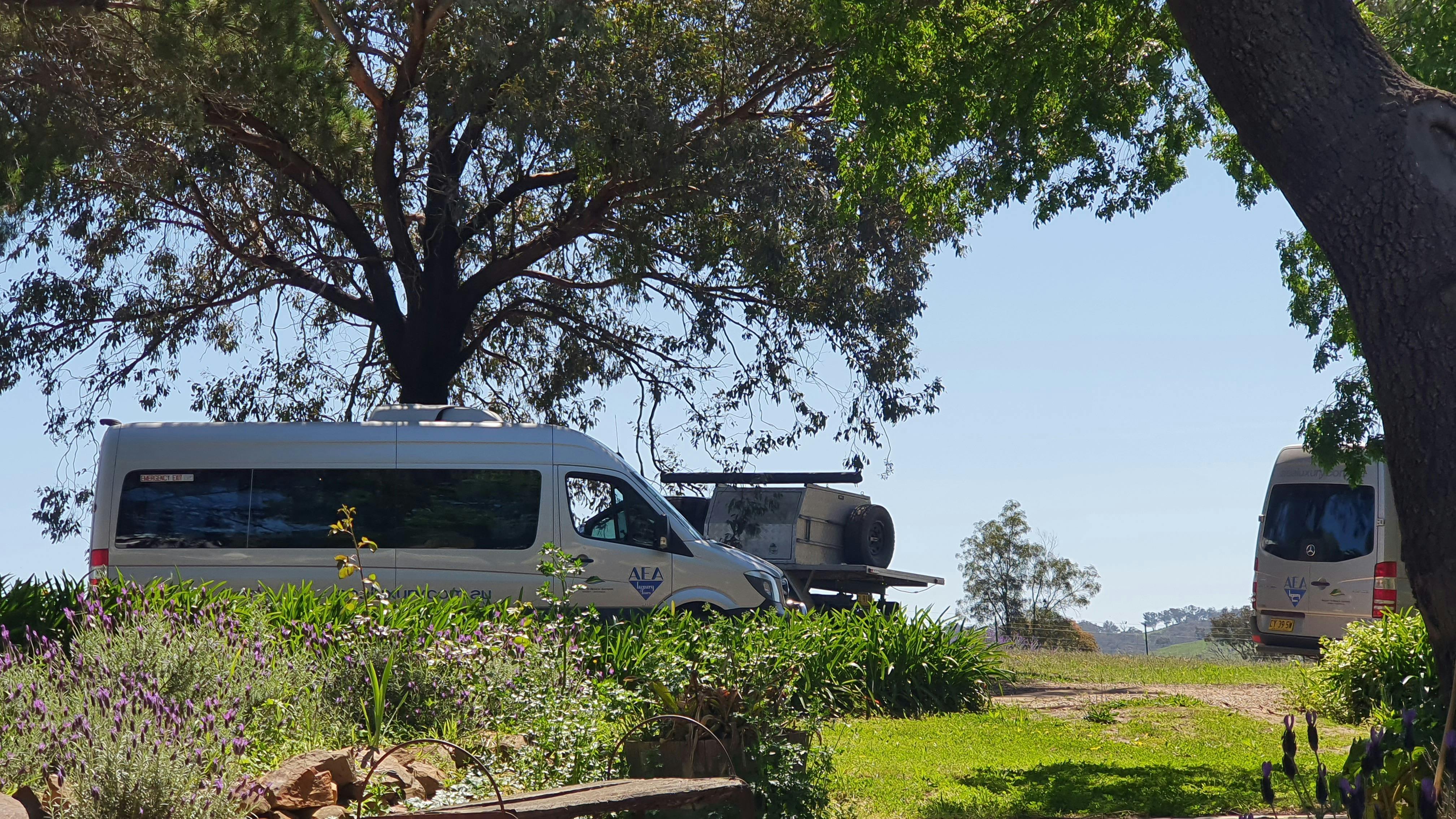 Vehicle at vineyard