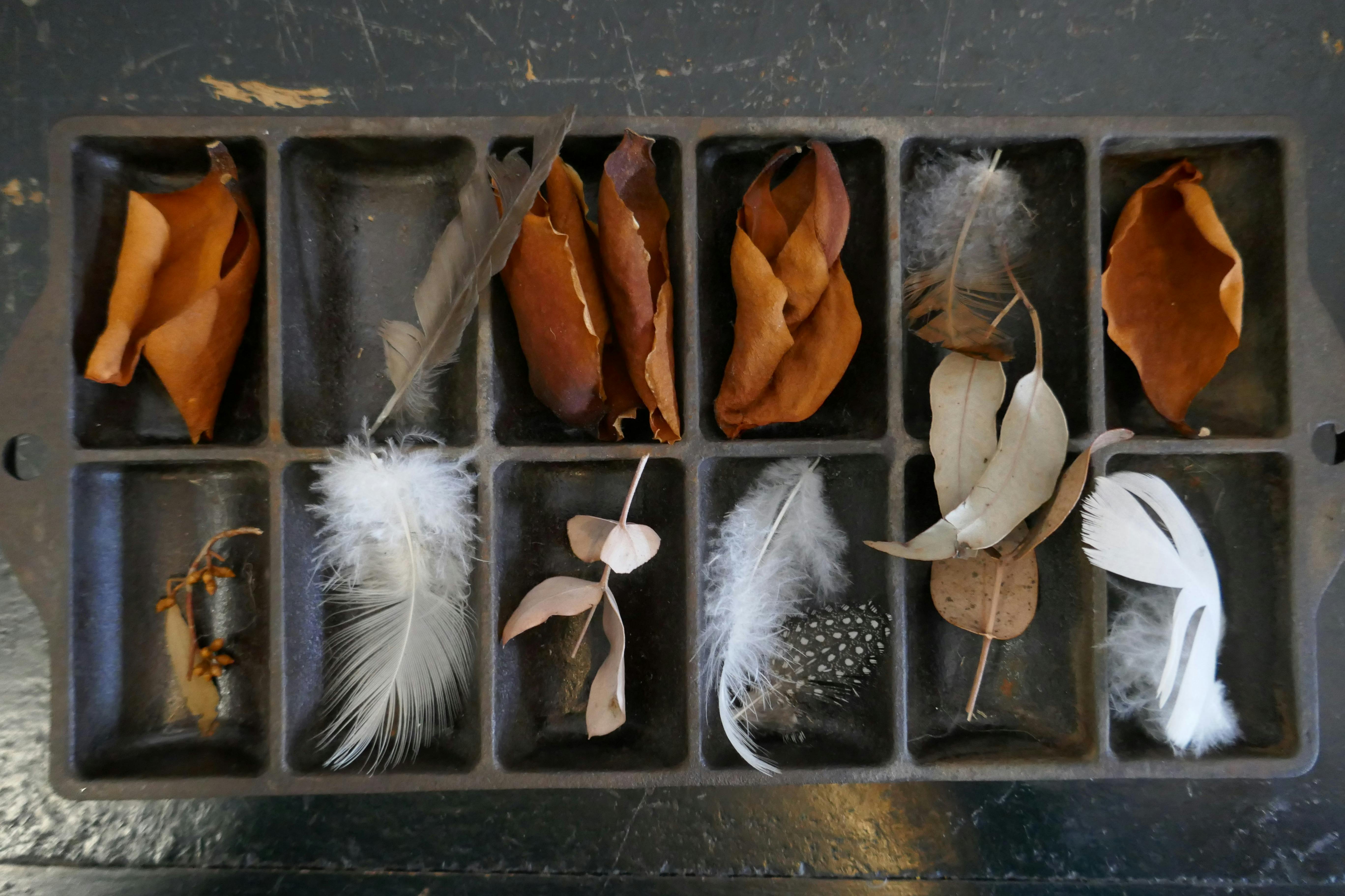 Explore boutique galleries and stores