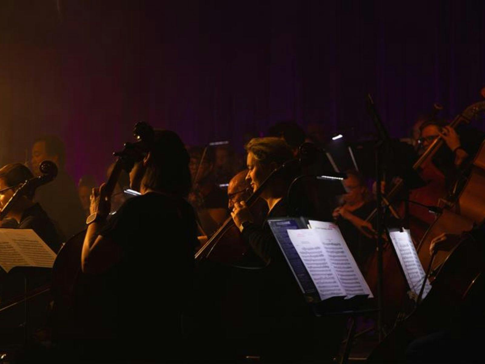 dark orchestra playing with sheet mucis in foreground dark orchestra playing with sheet mucis in foreground