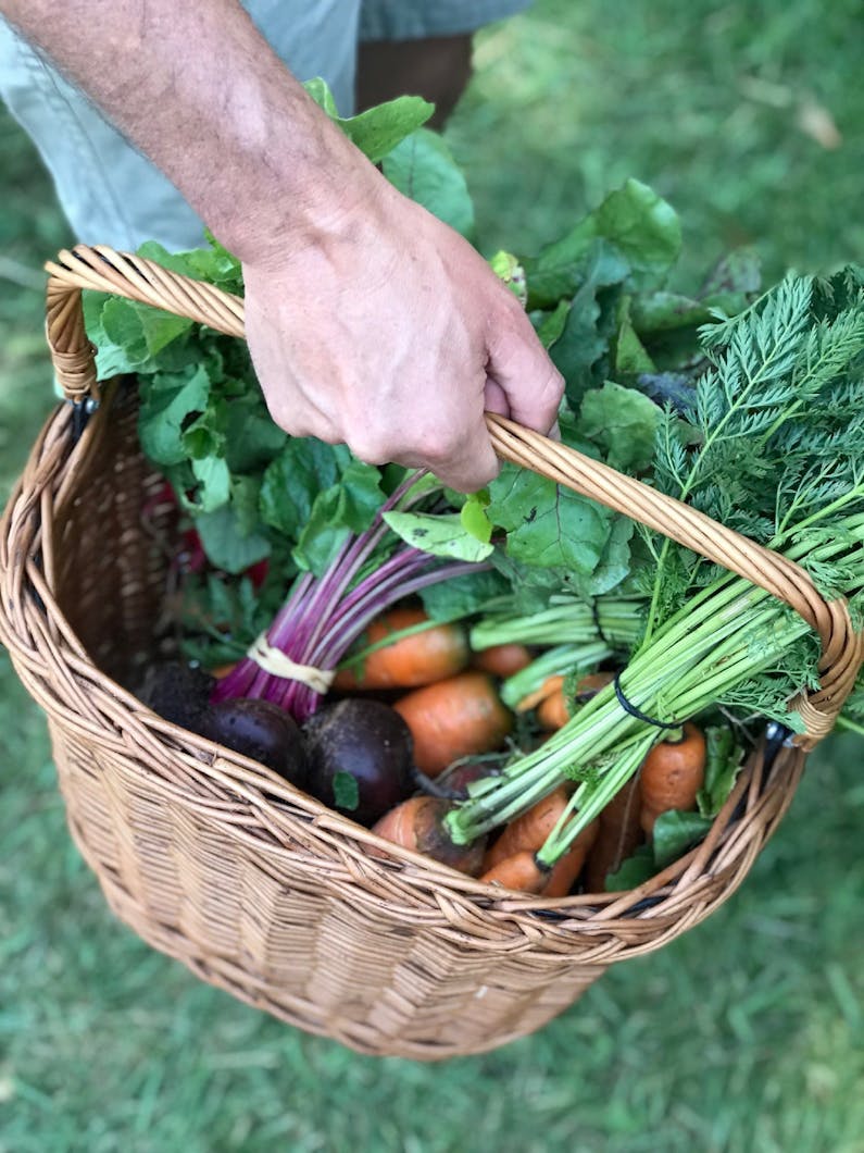 Image of the event 'Orange Farmers Market'