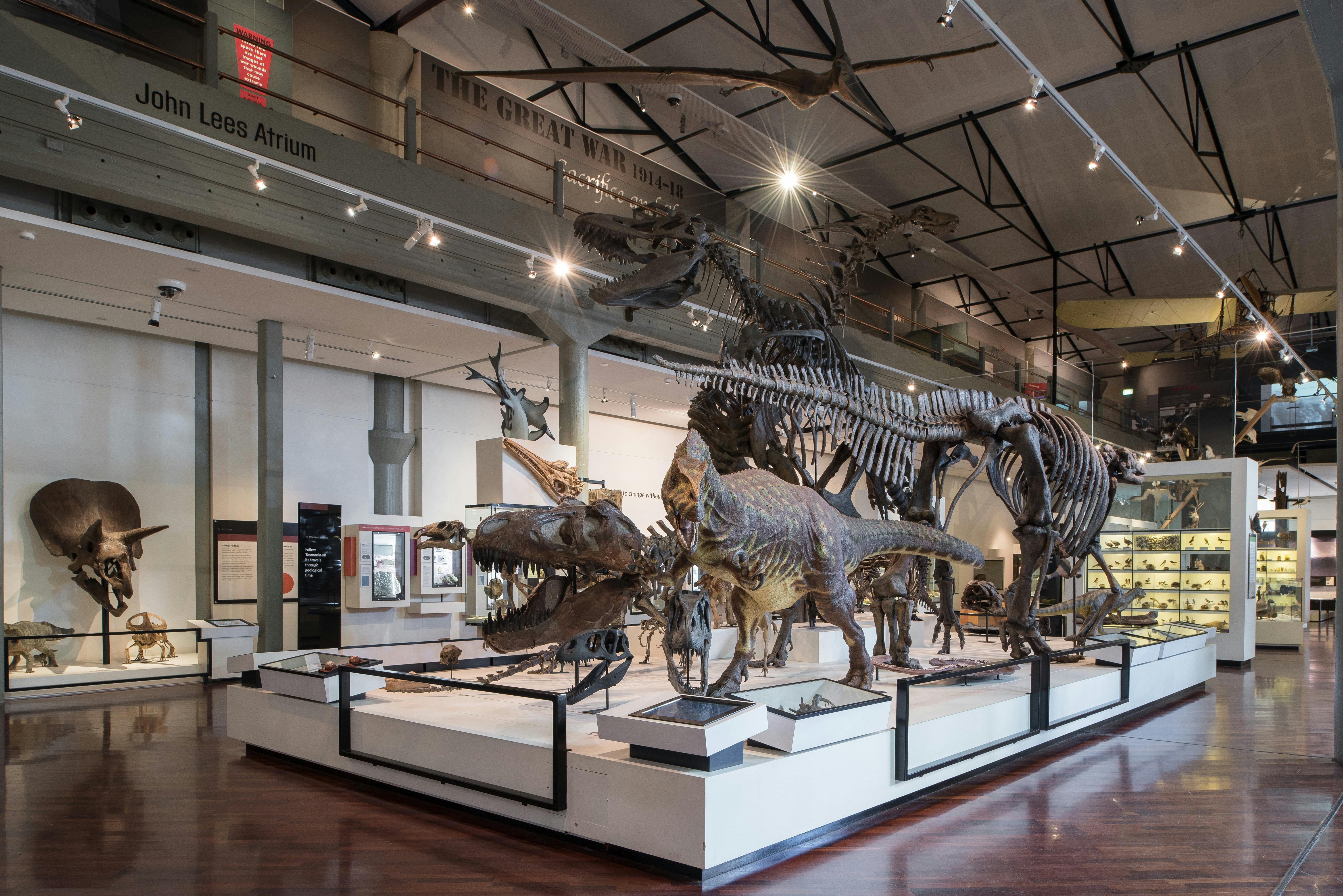 Dinosaur display at the Museum