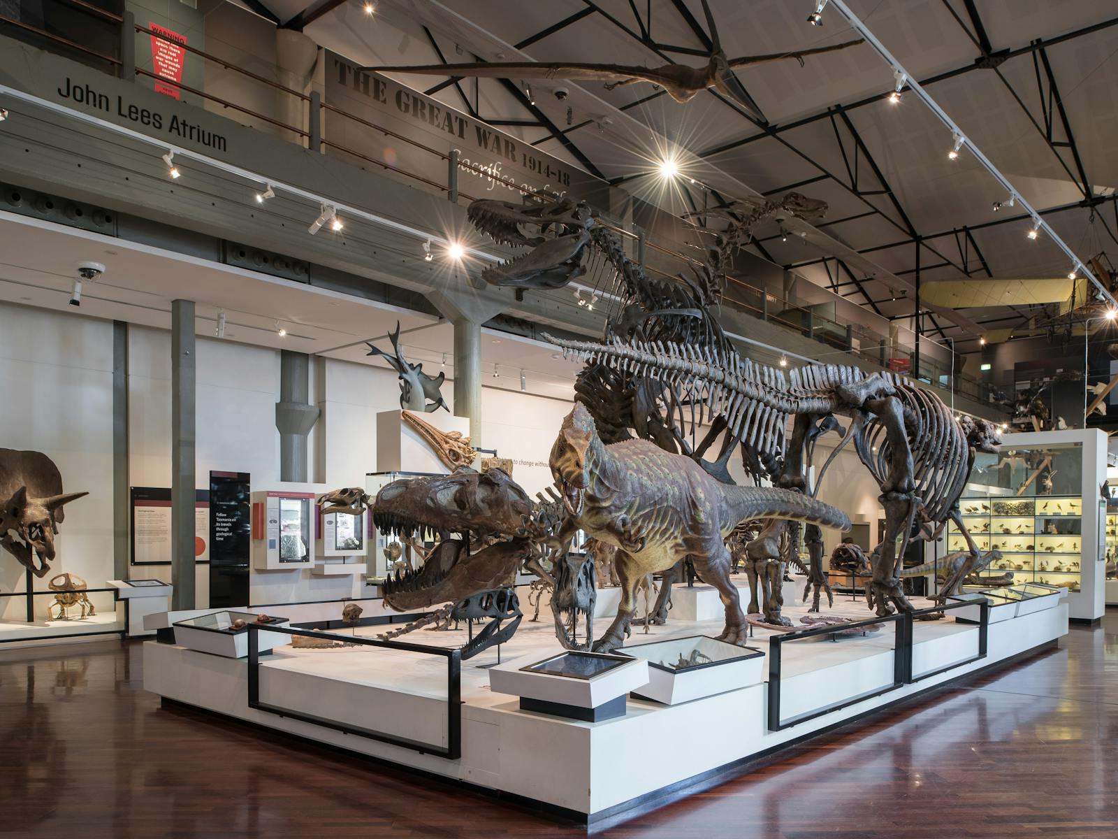 Dinosaur display at the Museum