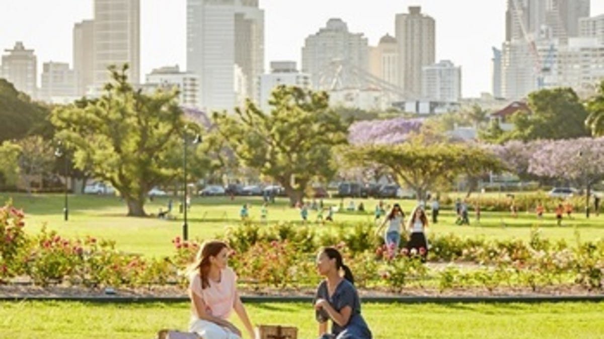 New Farm Picnic