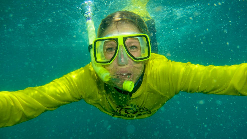 Aquascene Magnetic Island