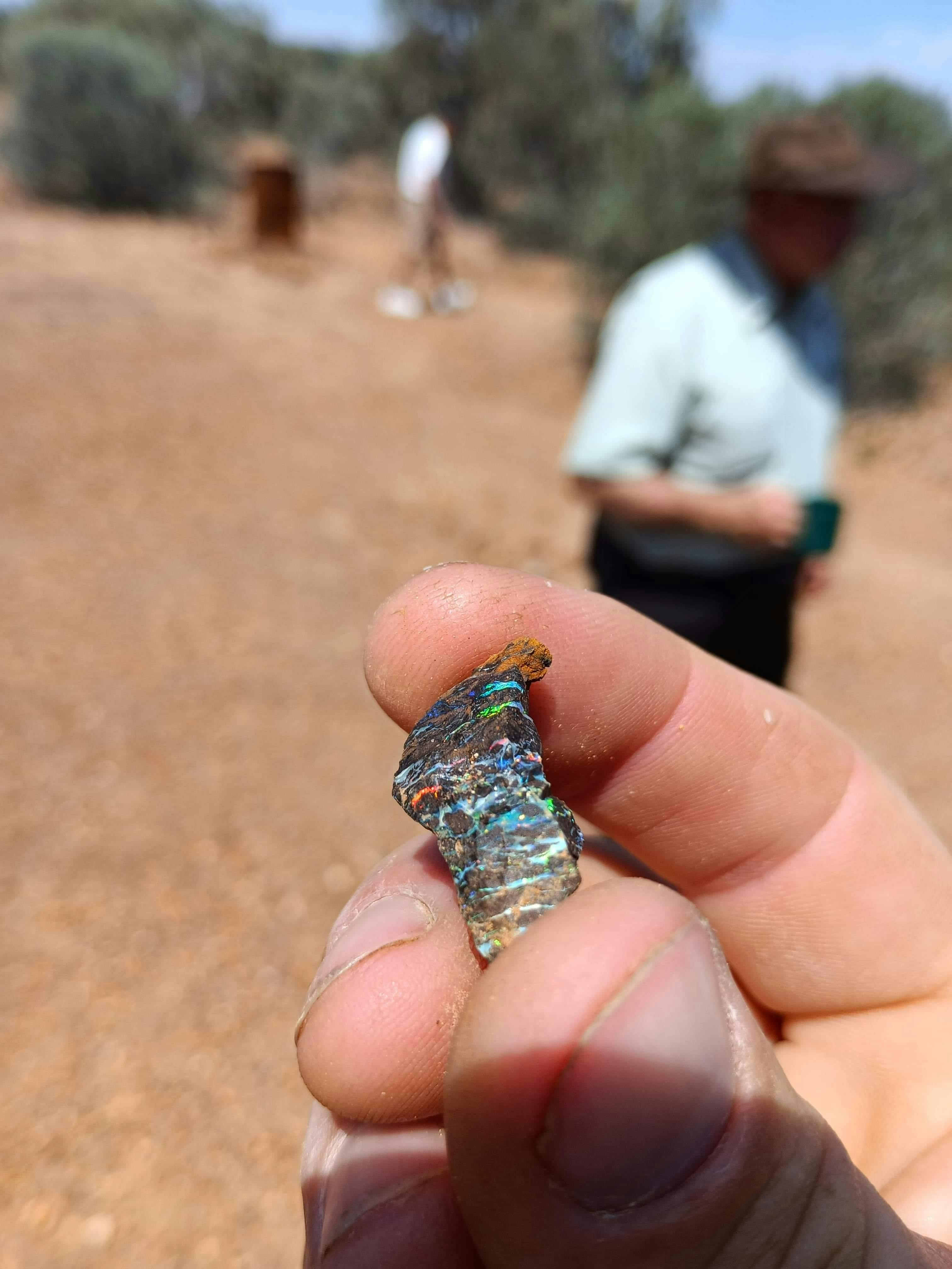 Boulder Opal, Winton