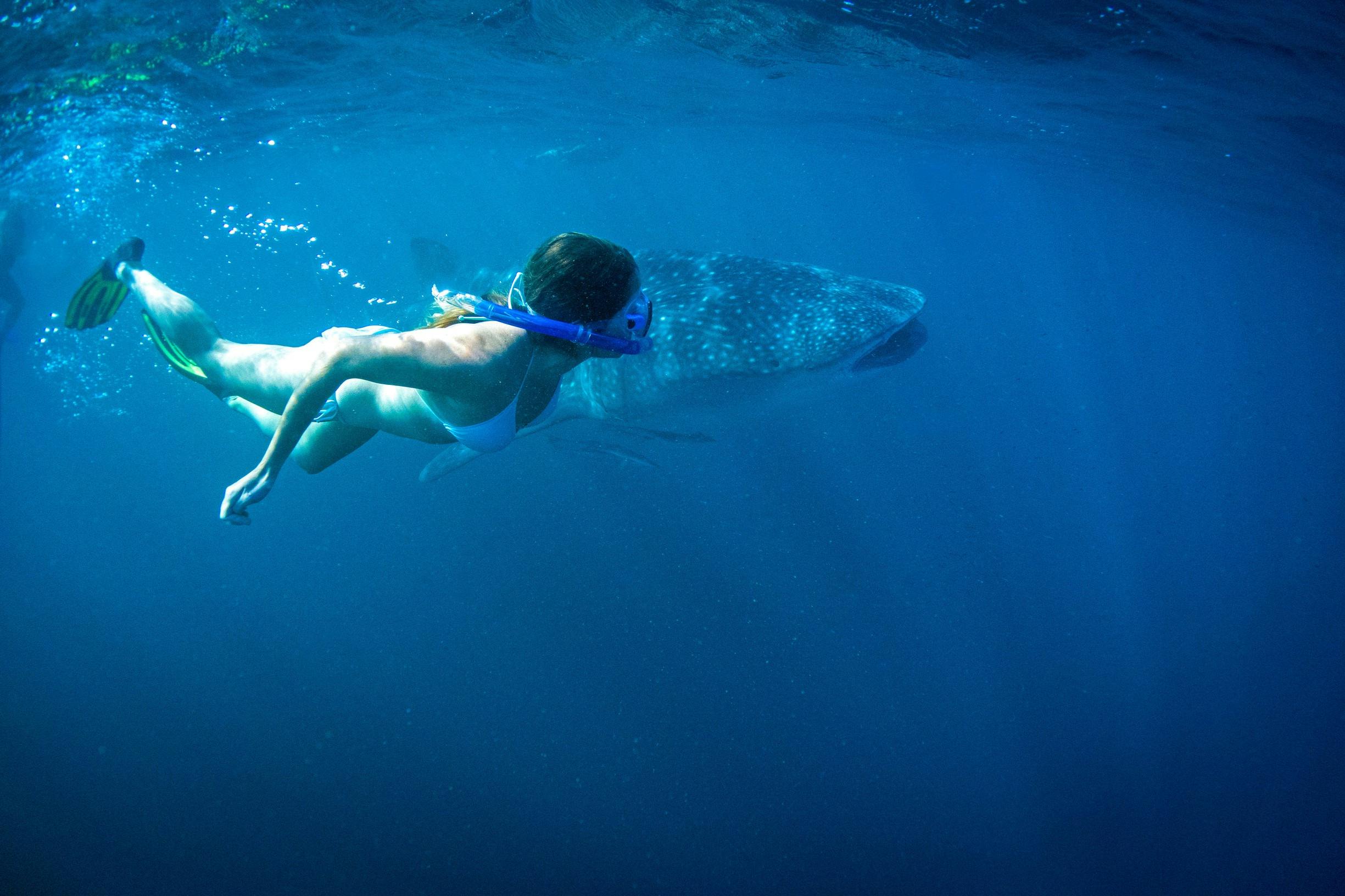Best of Coral Coast, Ningaloo Reef Marine Park, Western Australia