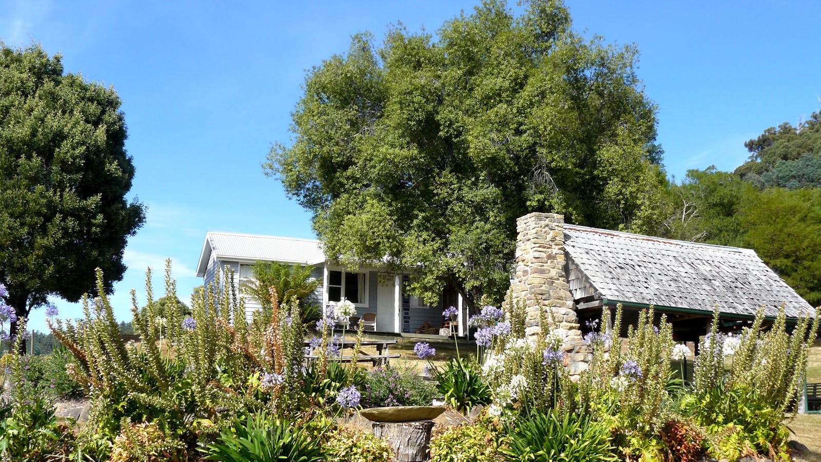 The Picnic Shed in the garden