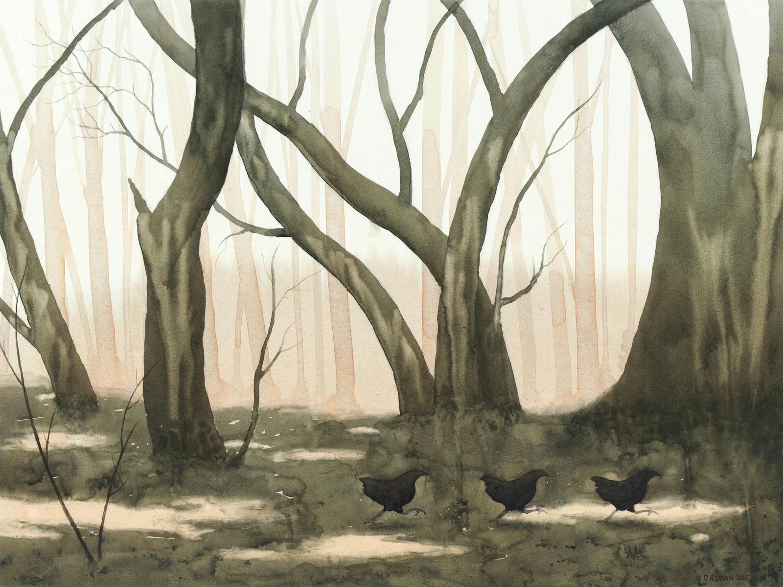 Image for Allegories - Nick Dridan