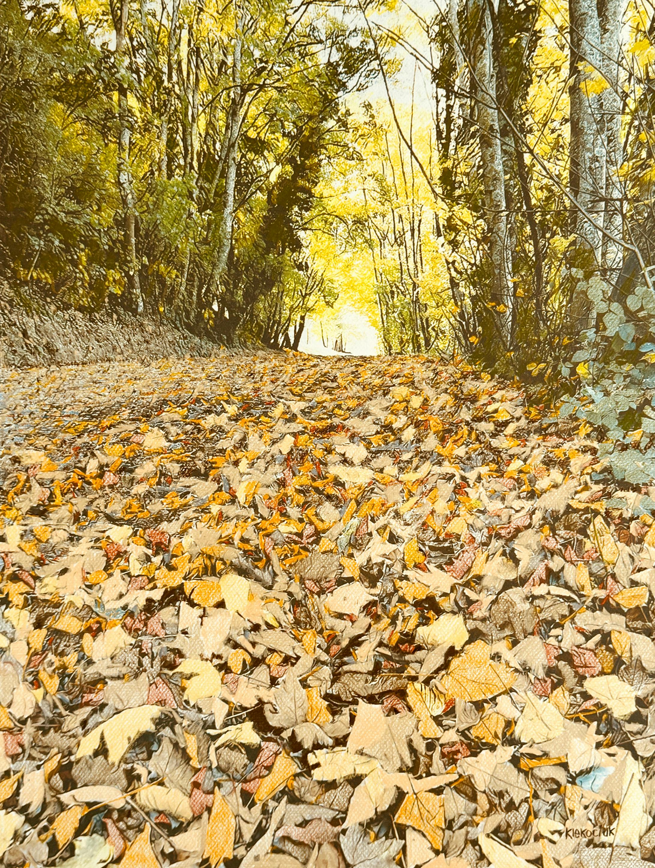 pencil, drawing, exhibition