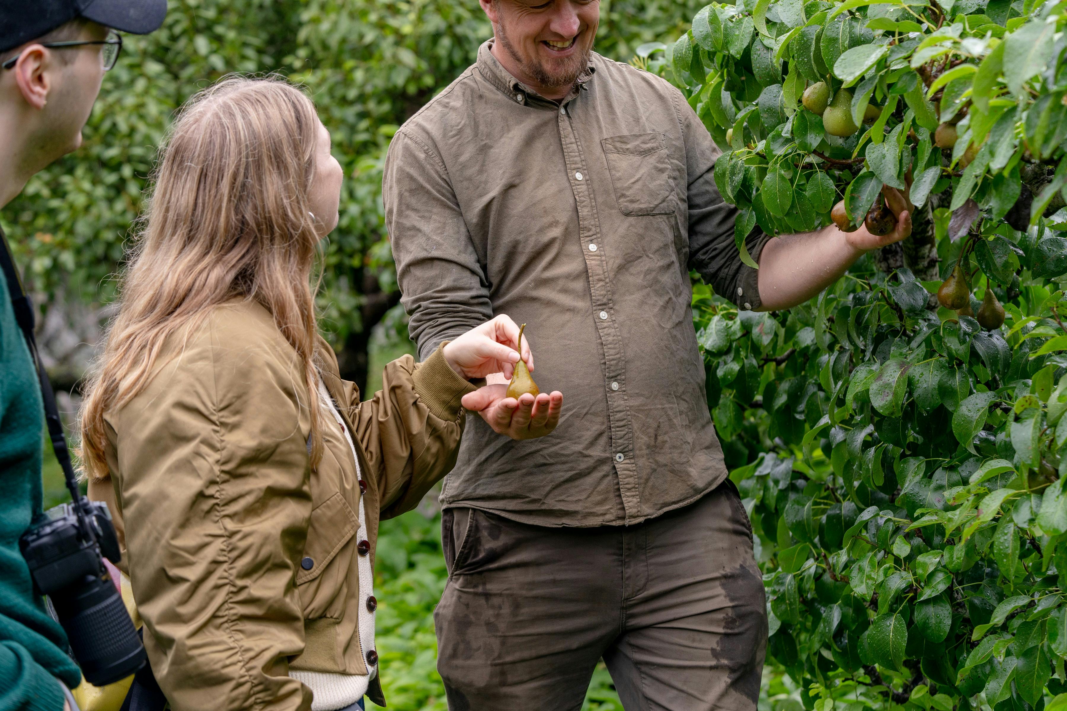 St Erth Orchard
