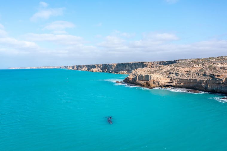 3 Day Whale Watching Tour - Whale Watching in the Great Australian Bight