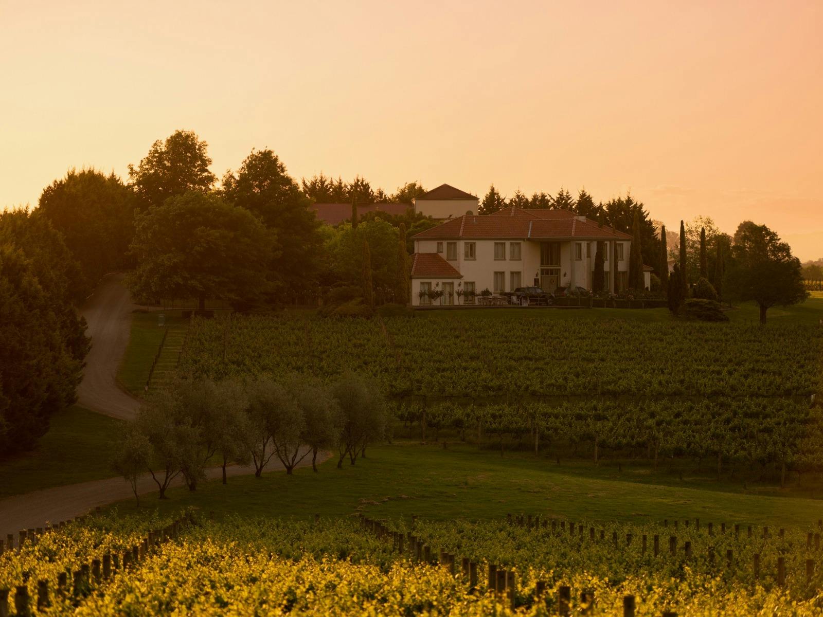 Tokar Estate Cinema In The Vines