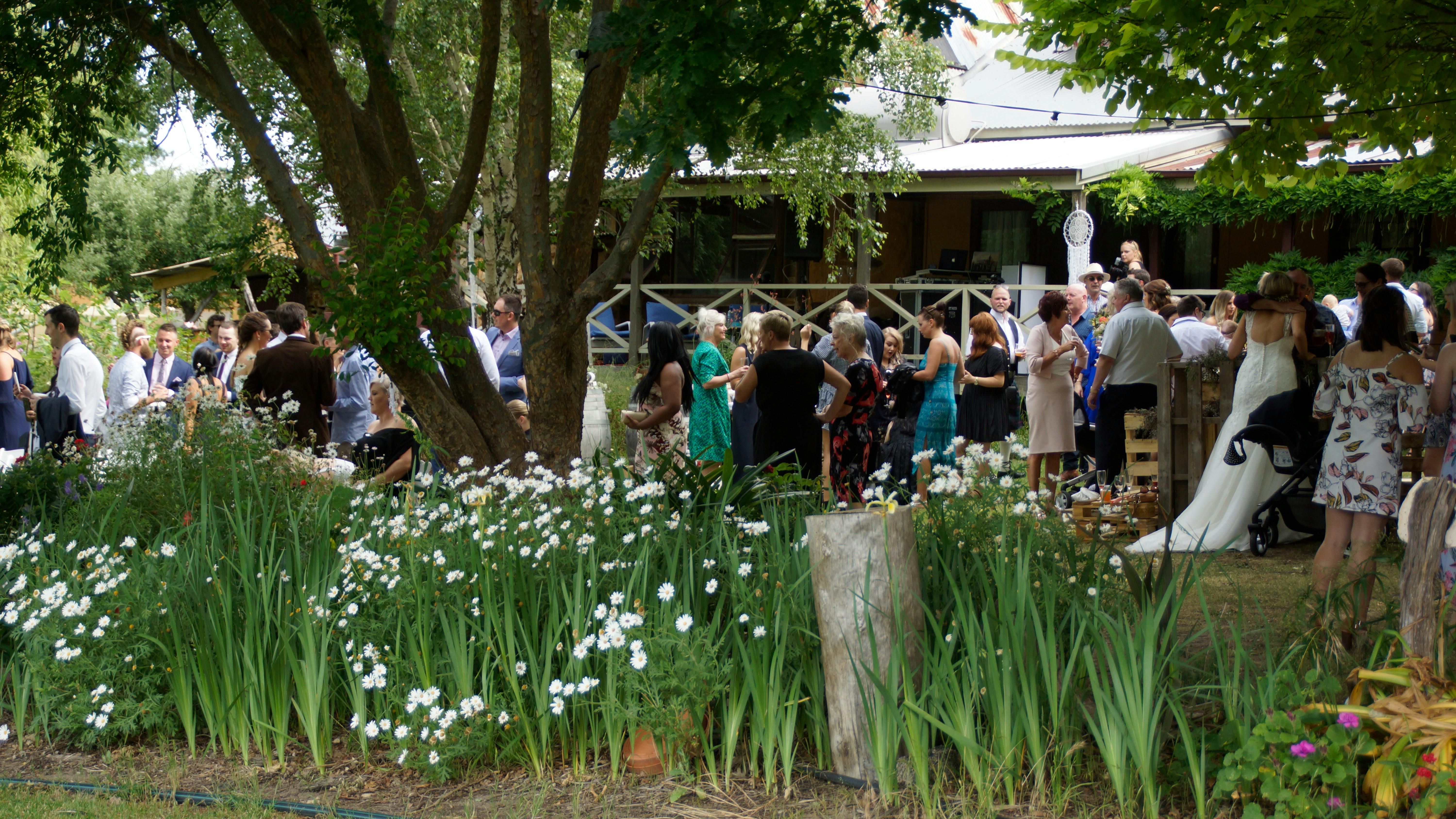 Magpie Springs venue hired for garden wedding near McLaren Vale.