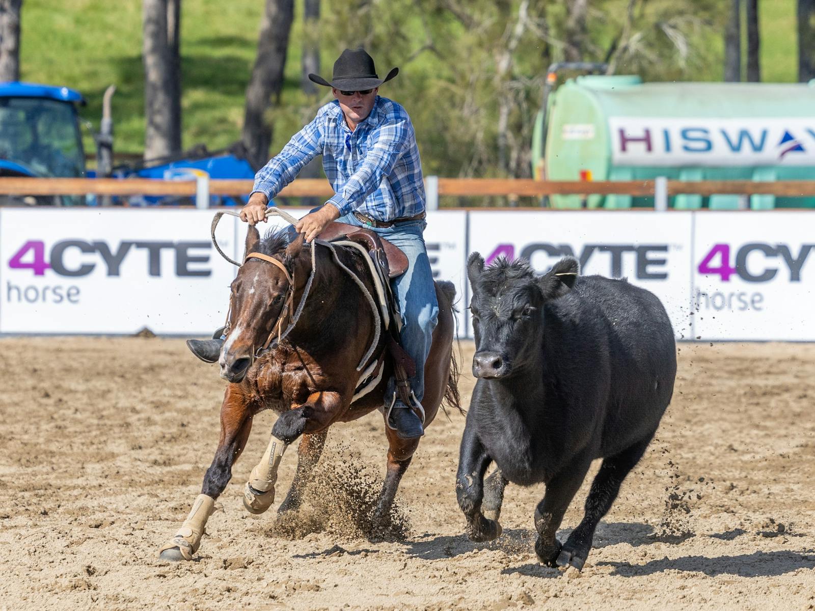 Willinga Park Gold Buckle Campdraft Championship 2026