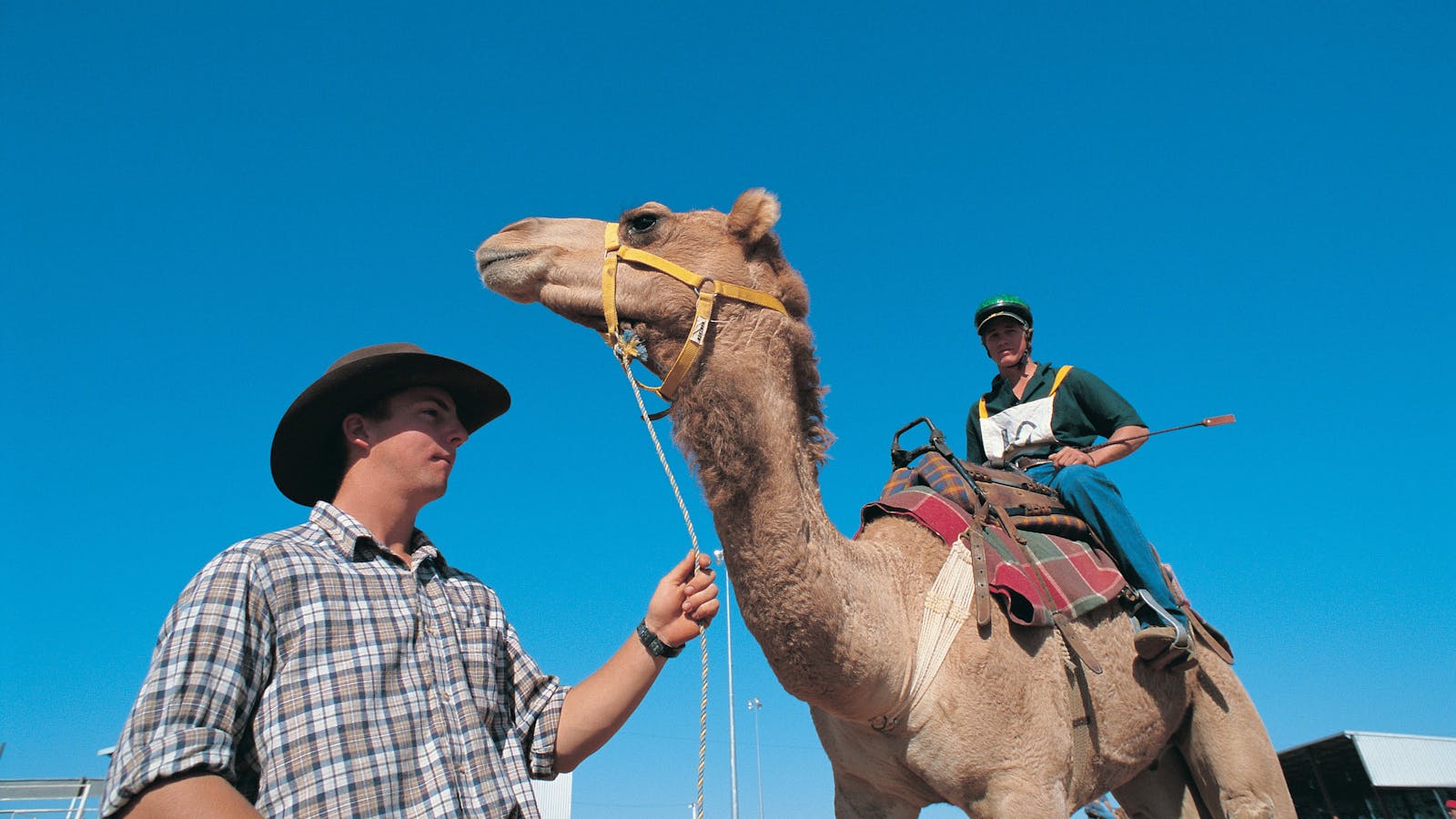 Desert Champions Way: Outback Camel Trail