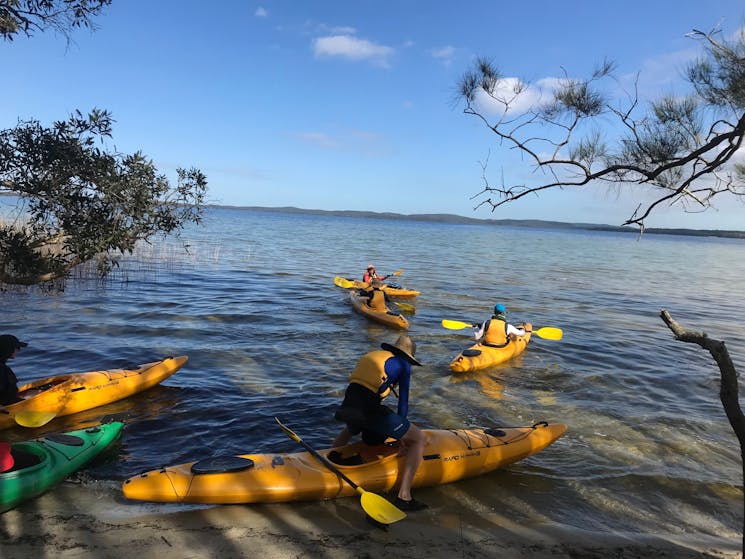 A group of Kayakers are paddling away from the beach  in the Myall Lakes