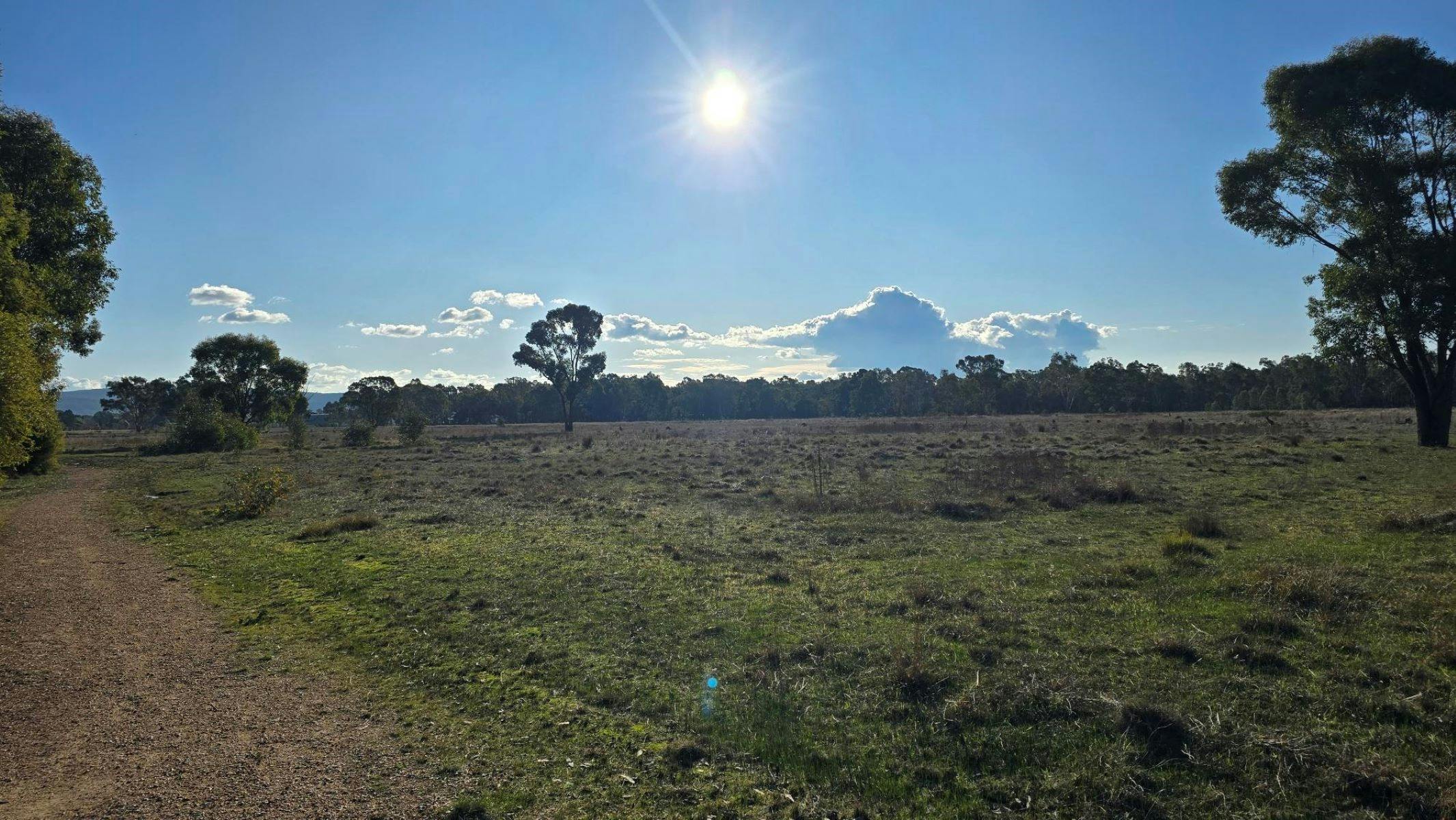 Gravel path next to a green pasture. Blue sky with shining sun