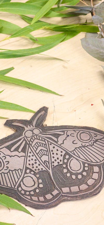 Bogong moth lino block