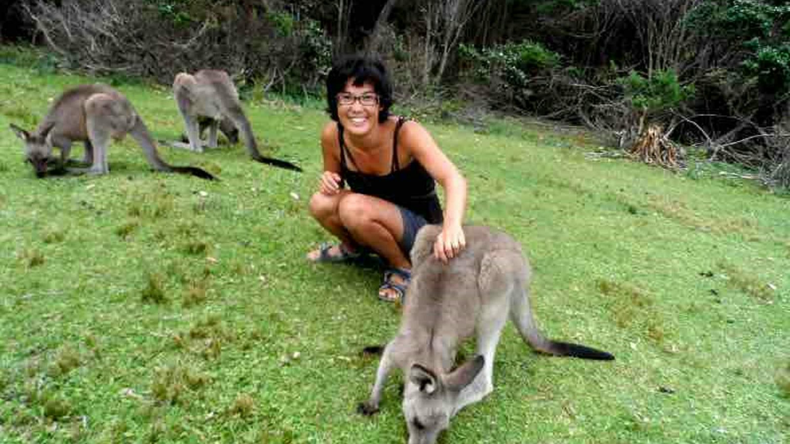 Kangaroos at Pebbly Beach