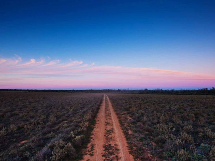 Follow the dirt track to Yanga National Park. Photo: David Finnegan.