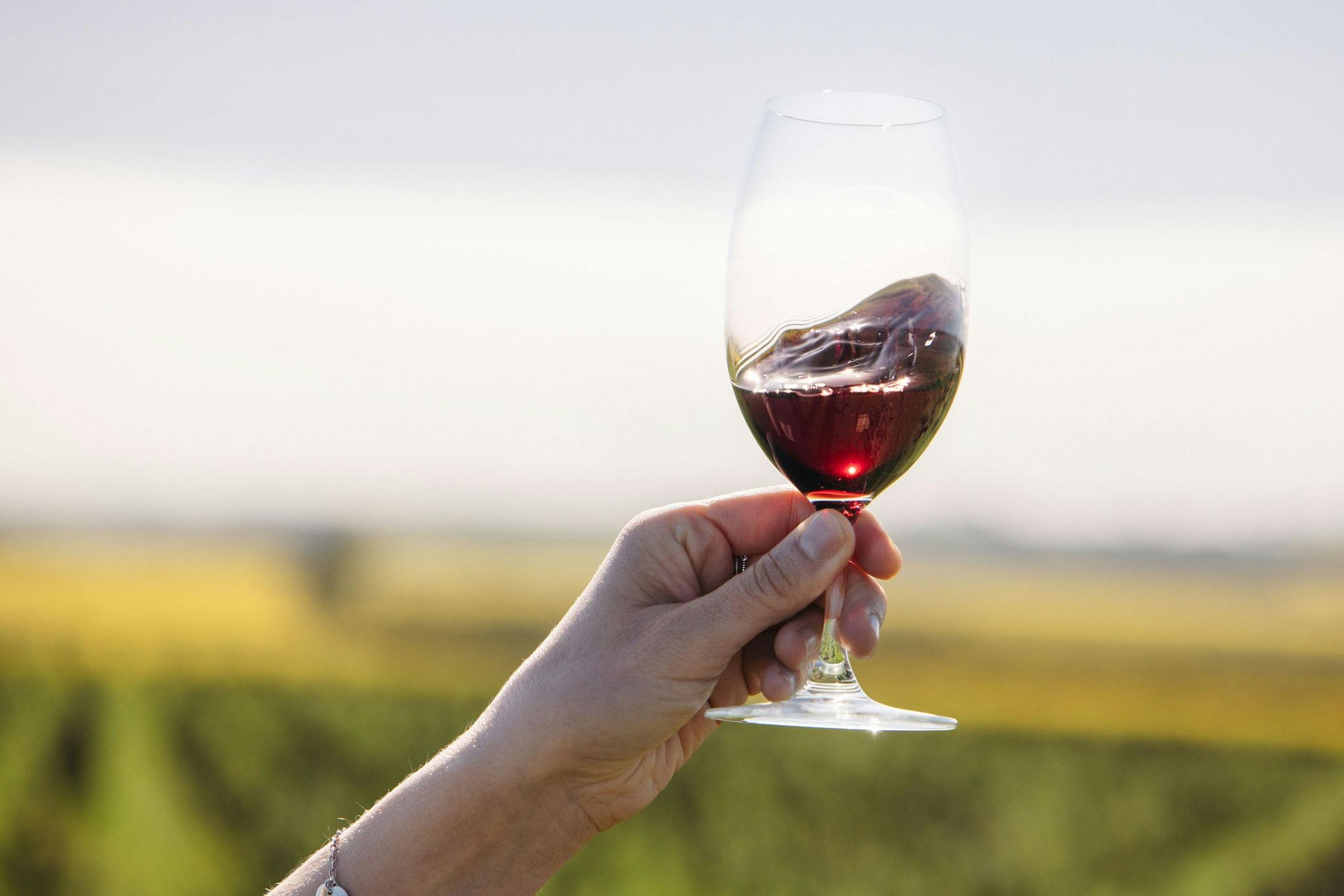 Swinney Wines