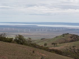 Mt Brown provides spectacular views of the Spencer Gulf