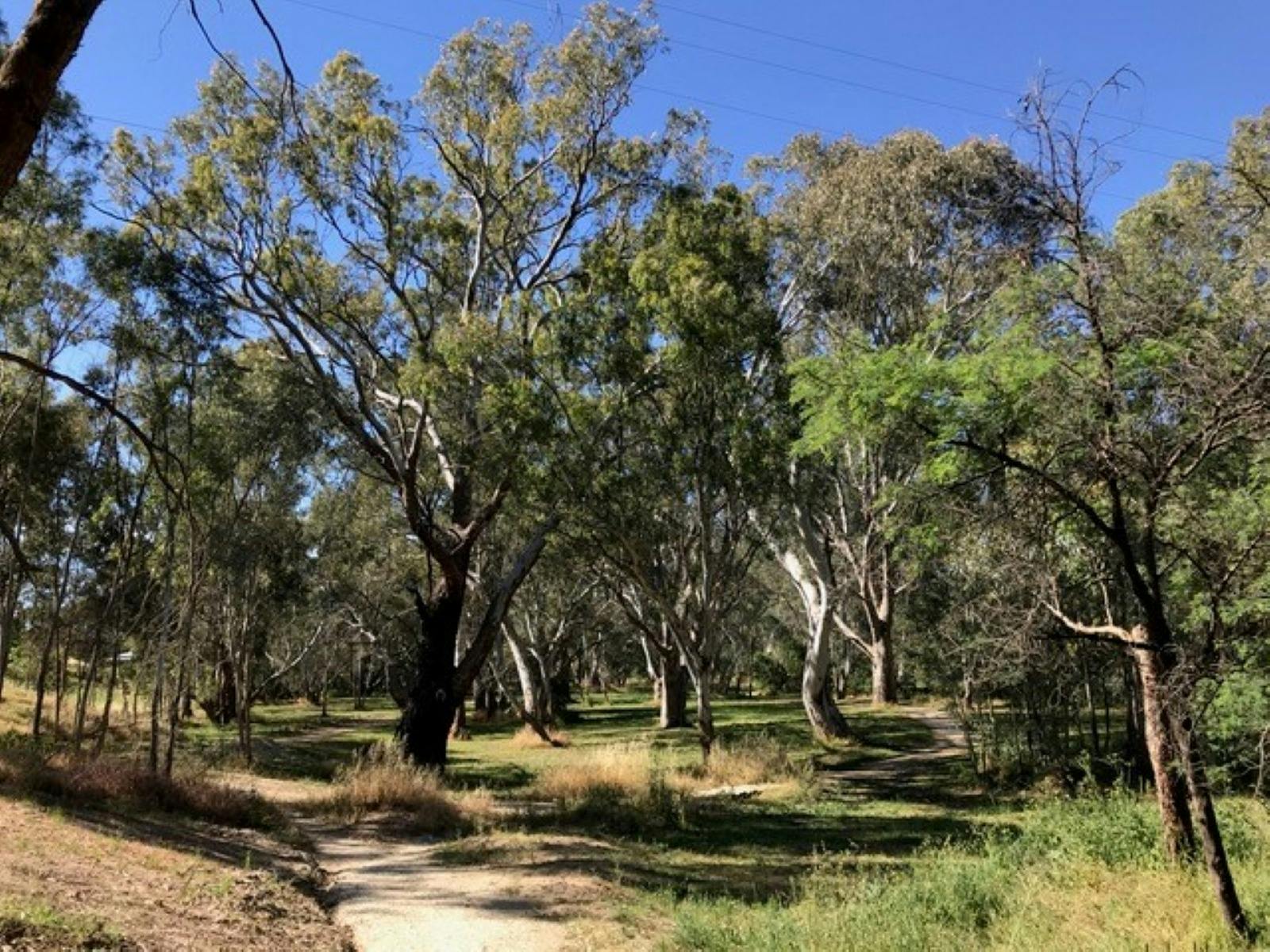 Photo of the Avenel Heritage and Walking Trail