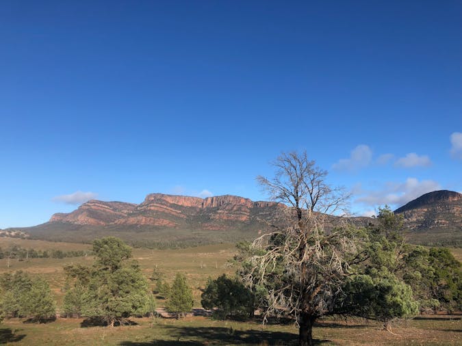 Flinders Ranges Walking Holiday