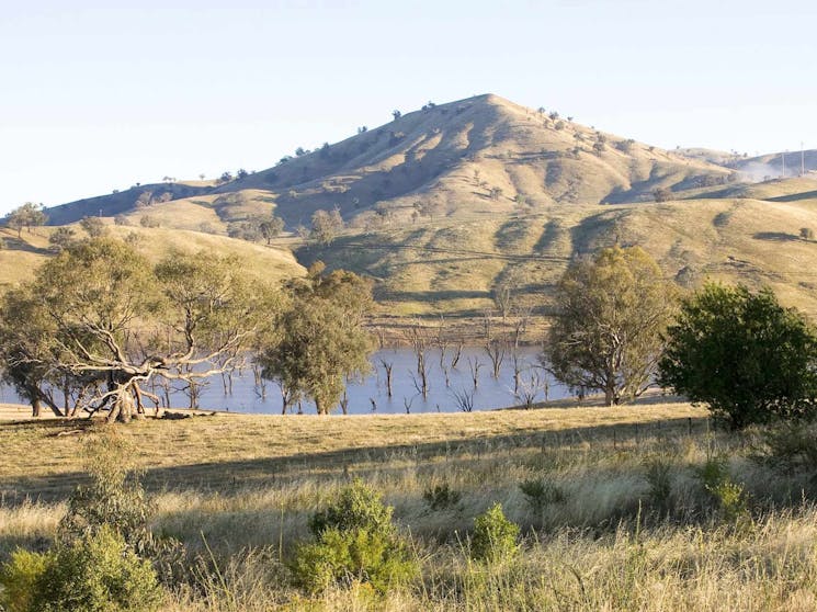 High Country Rail Trail