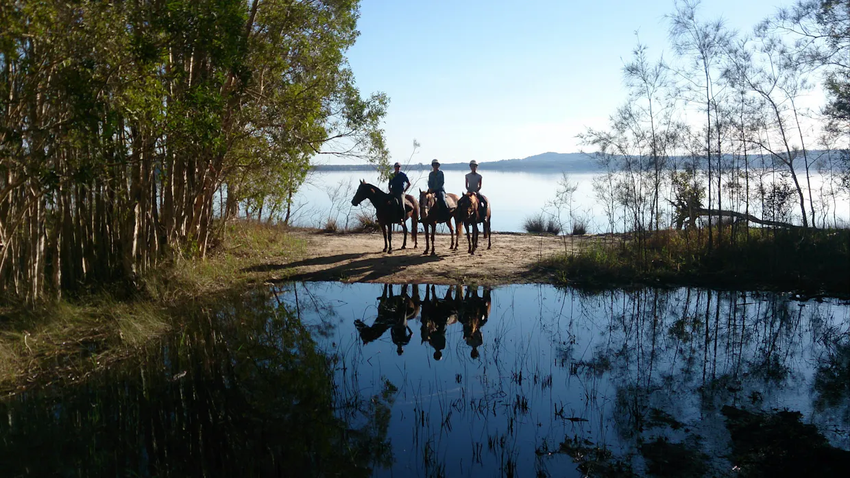 Noosa Horse Riding