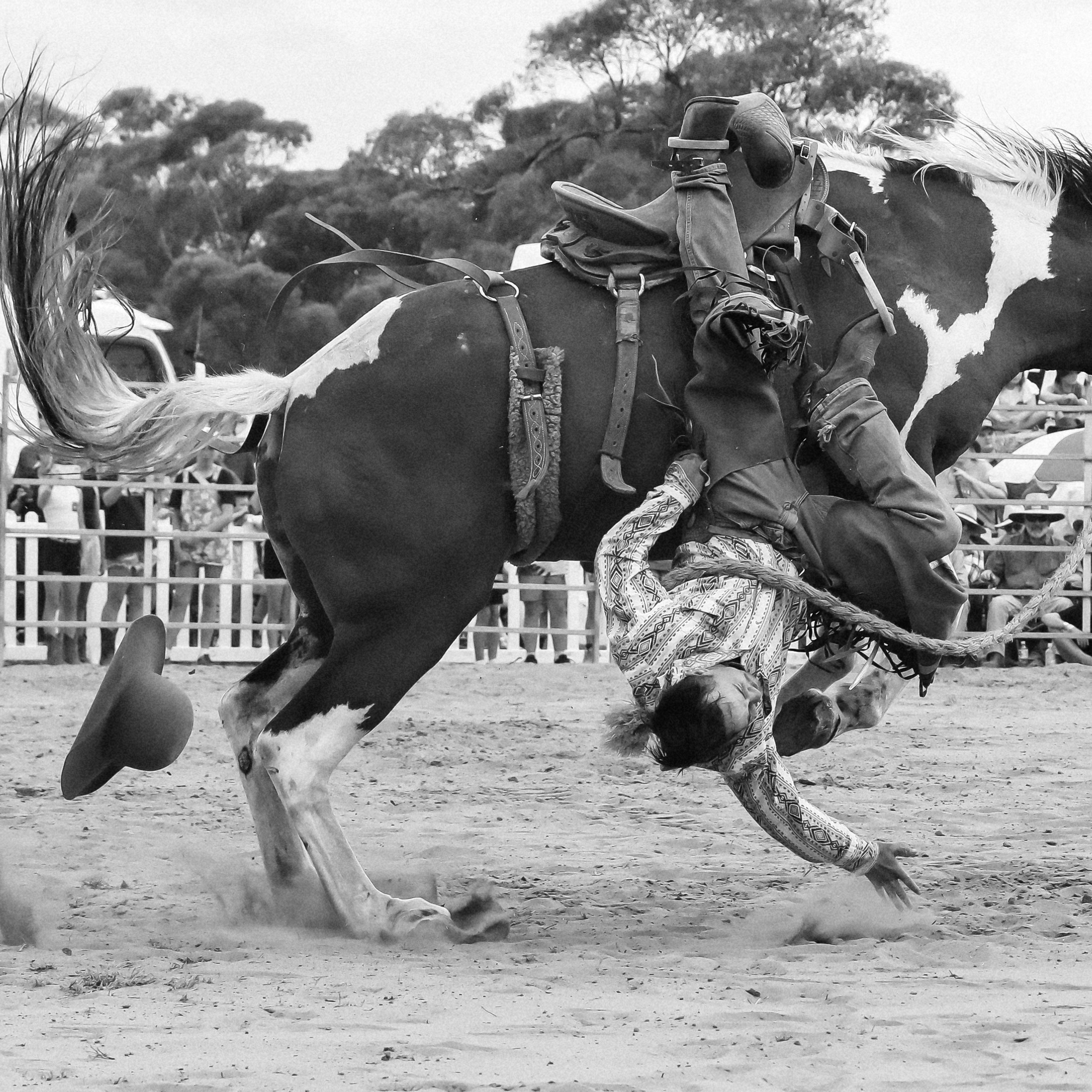 Rodeo Photo Exhibition