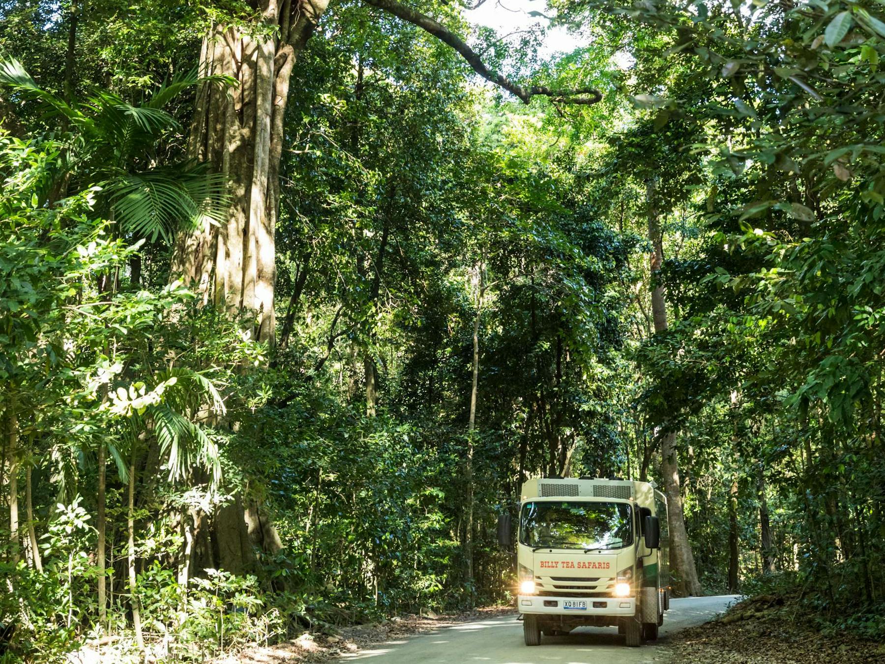 Billy Tea Safaris unique tour vehicle