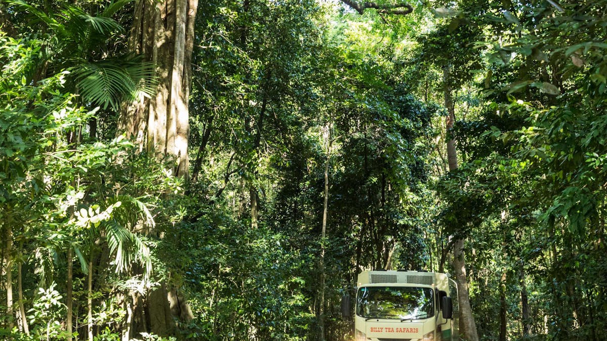 Billy Tea Safaris unique tour vehicle