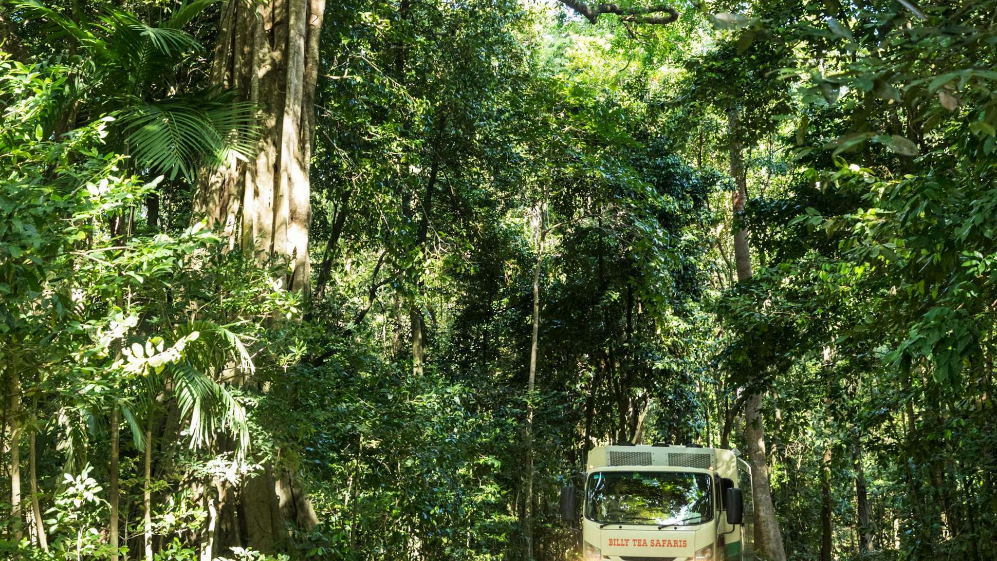 Billy Tea Safaris unique tour vehicle Billy Tea Safaris unique tour vehicle