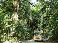 Billy Tea Safaris unique tour vehicle
