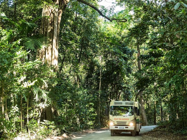 Billy Tea Safaris unique tour vehicle