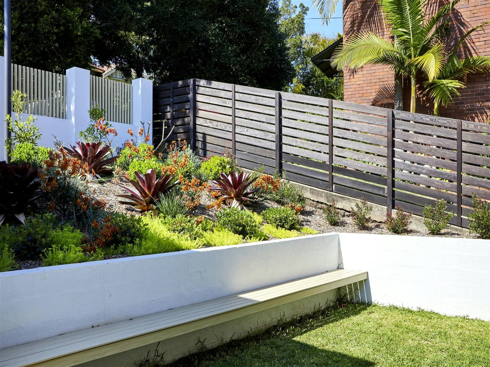 The succulent garden