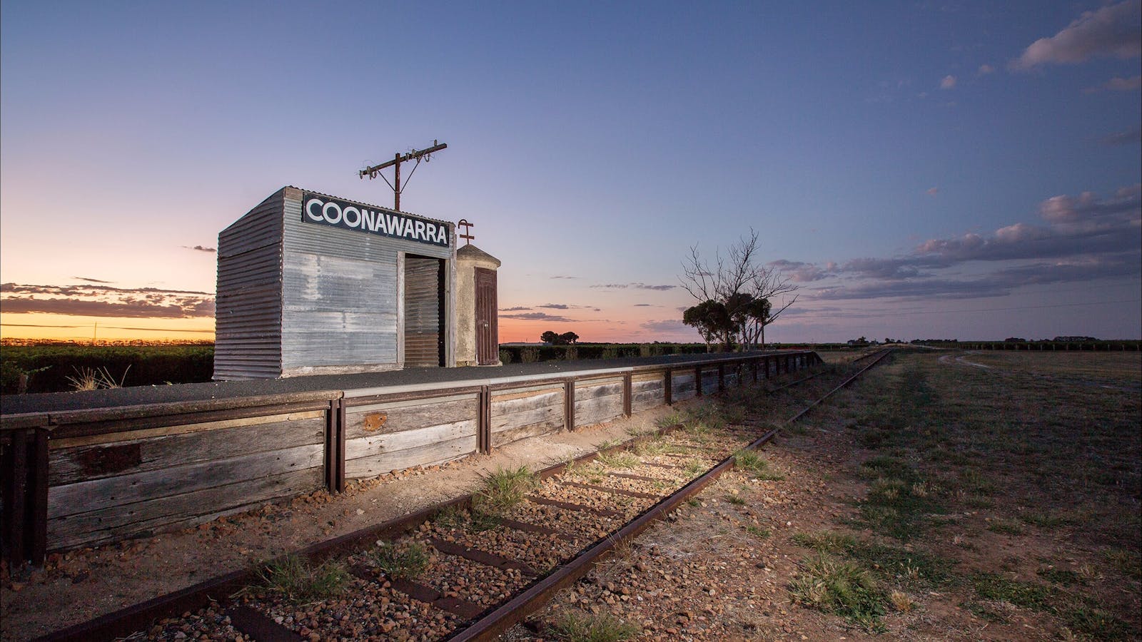 Brand's Laira of Coonawarra