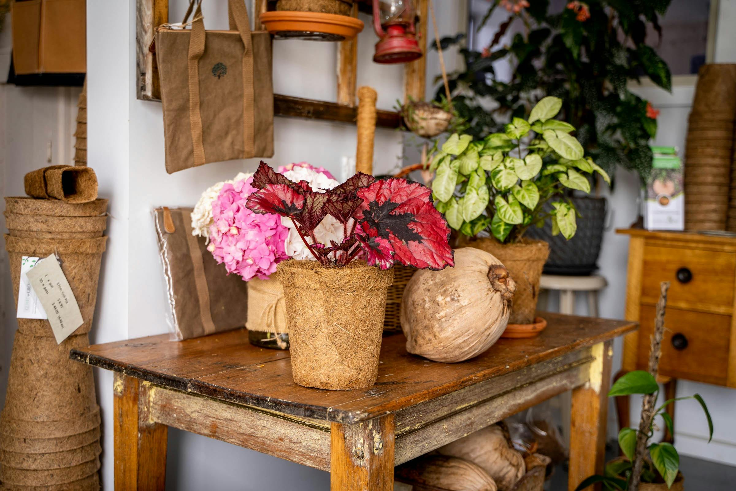 Inside our little shop